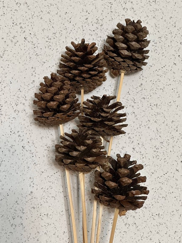 Pinecones on a stick