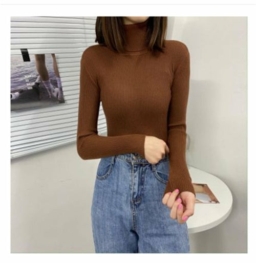 Women Classic Turtleneck Sweater