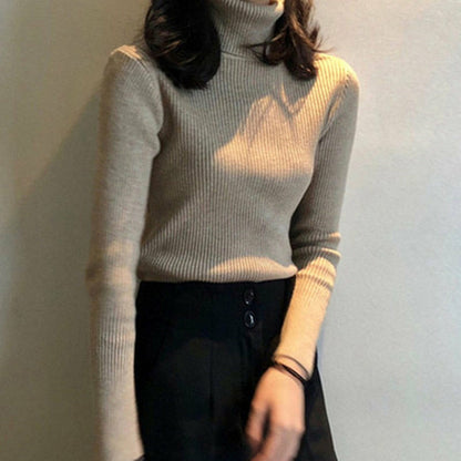 Women Classic Turtleneck Sweater