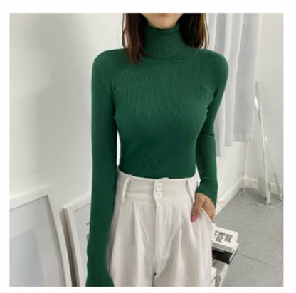 Women Classic Turtleneck Sweater