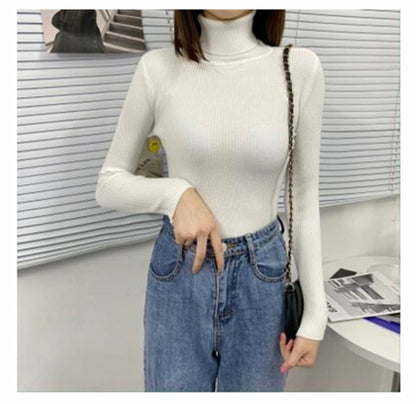 Women Classic Turtleneck Sweater