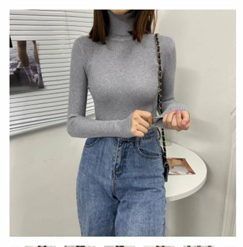 Women Classic Turtleneck Sweater