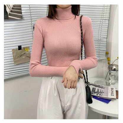 Women Classic Turtleneck Sweater